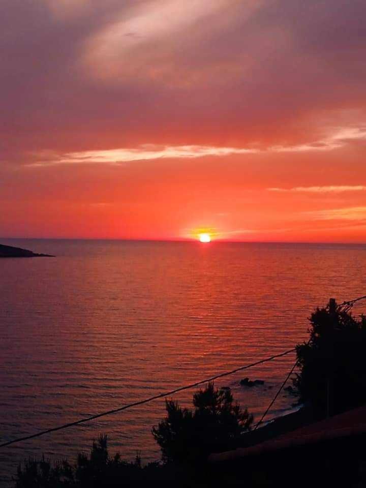 Kalymnos Platy Gialos Mousellis Makis Apartments Panormos  Екстериор снимка